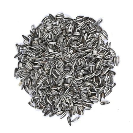 Bezos Alaca Çekirdek Vivid 20 kg BEZOS1