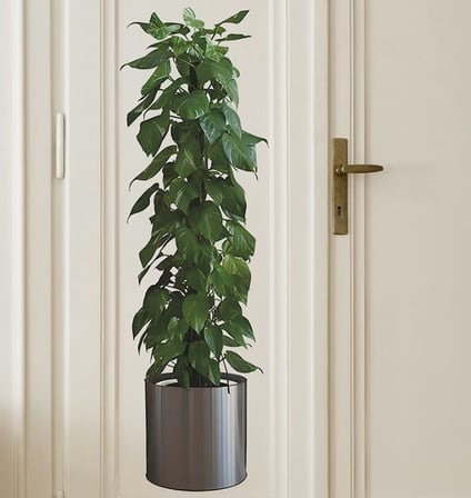 Bezos Saksılı Bitki Tasarımlı Yapışkanlı Sticker Resim 90*30 cm MC-665 BEZOS1
