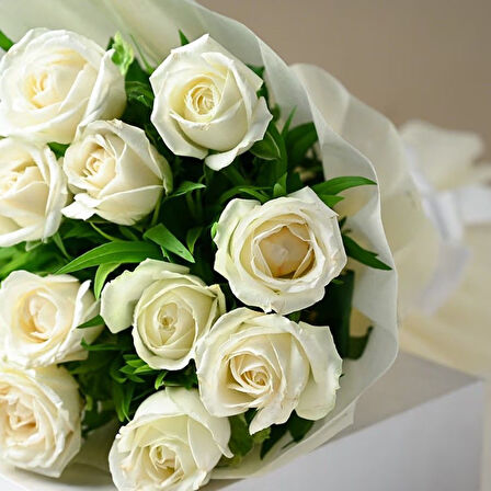 Tüplü  Kordes Rosen White Masquerade Yediveren Gül Fidanı