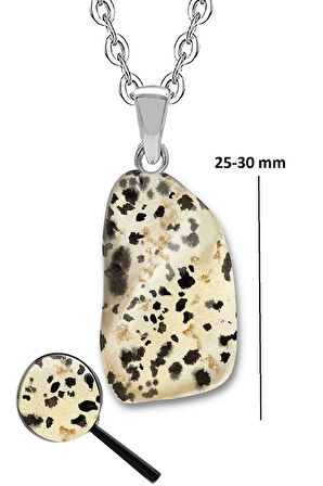 Sertifikalı Tımbıl Model Benekli Dalmaçya Jasper Taşı Kolye