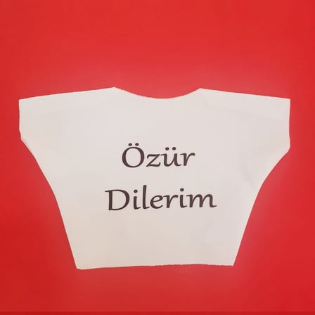 Özür Dilerim Yazılı Peluş Oyuncak Ayı Tişörtü Duygu Belirten Hatıra Eşyası Sevgi Gösterisi