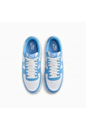 Nike Terminatör Low-FQ8748-412