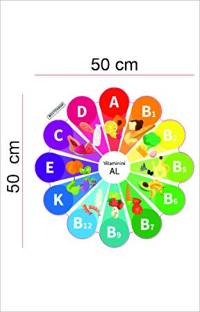 Bizerk Görsel Eğitici Sağlıklı Beslenme Vitamin Çarkı Çocuk Odası Kreş Anaokulu Duvar Sticker Seti 