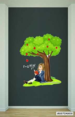 Bizerk Görsel Eğitici Formül Newton Çocuk Odası Kreş Anaokulu Duvar Yapışkanı Sticker