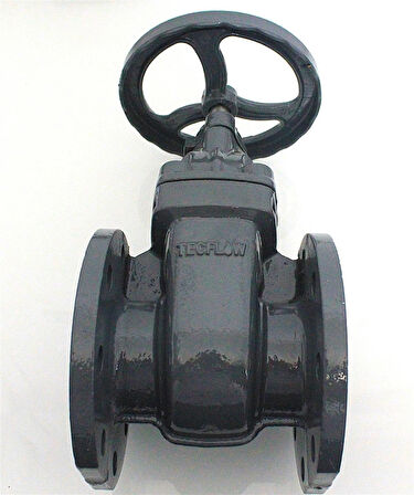 Tecflow DN80 PN16 Sürgülü Vana GGG50 Flanşlı Döküm Vana BGV08