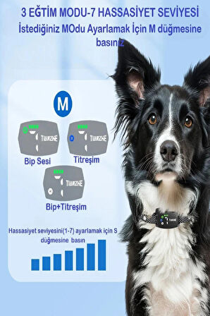 Köpek Havlama Önleyici Tasması Akıllı Şarjlı Ayarlanabilir Su Dayanıklı Köpek Eğitim Tasması