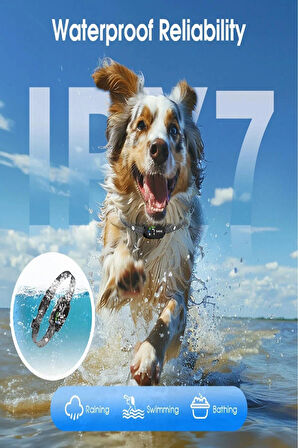 Köpek Havlama Önleyici Tasması Akıllı Şarjlı Ayarlanabilir Su Dayanıklı Köpek Eğitim Tasması