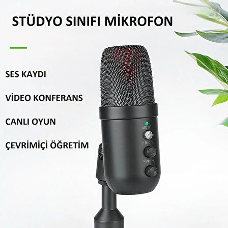 Profesyonel Kalite USB Mikrofon Canlı Yayın Podcast Kayıtlar Canlı Oyun Ses Kaydı ve Video Konferans