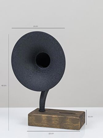 Bahar Akustik Gramofon - 2160