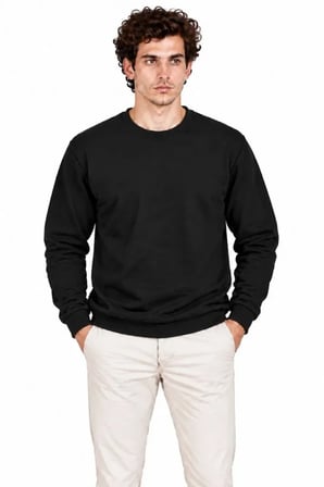 Erkek Bisiklet Yaka İçi Şardonlu 2 İplik Düz Uzun Kollu Regular Fit Sweatshirt - Siyah