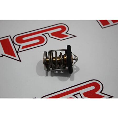 Pulsar Ns 200 Thermostat A (538810906)