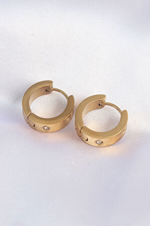 316L Çelik Gold Renk Zirkon Taşlı Minimal Model Halka Küpe alithestereo