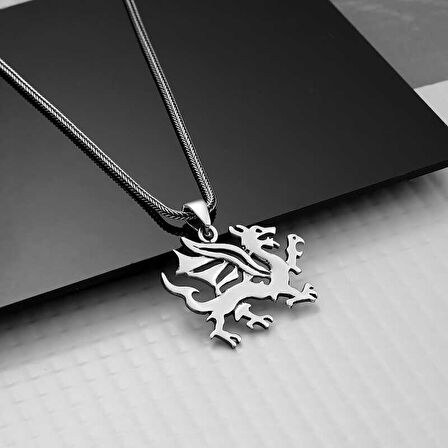 BlackCraft 925 Ayar Gümüş Ejderha Erkek Gümüş Kolye (BC-A87151)