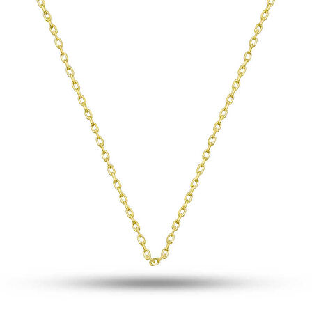 BlackCraft Gümüş Gold 0.30 Mikron 50 Cm Forse Kadın Zincir (BC-8B9CD0)