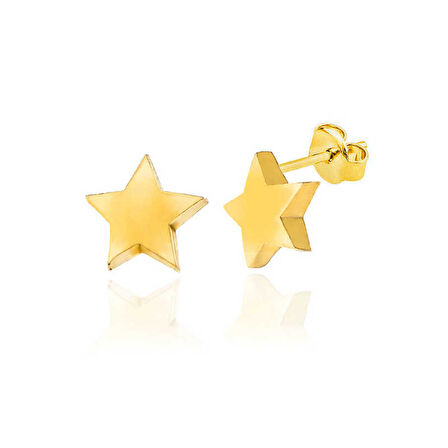 BlackCraft Gümüş Gold Yıldız Çivili Kadın Küpe (BC-B3FF0E)