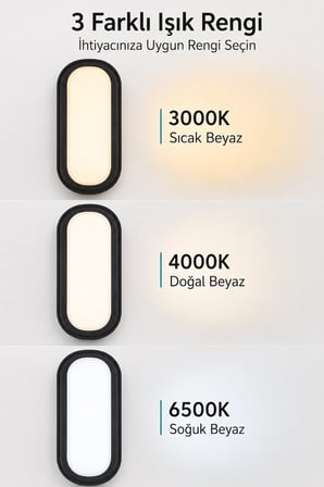 Braytron 12W LED Bahçe Aplik Oval Siyah IP65 3 CCT 1320 Lümen