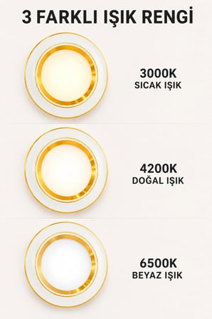 5W 3 Işık Renkli Sıva Altı LED Spot 350 Lümen Gold-Beyaz