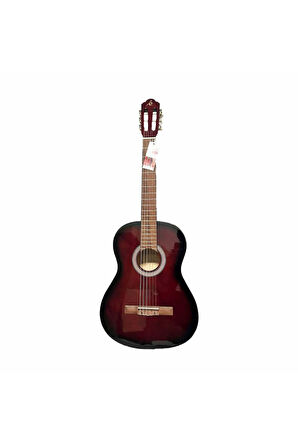 4/4 Gül Klavyeli Gitar
