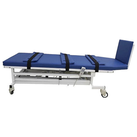 2 Motorlu Tilt Masası | Elektrikli, Ayarlanabilir Yükseklik ve Güvenlik Kemerli Test Cihazı