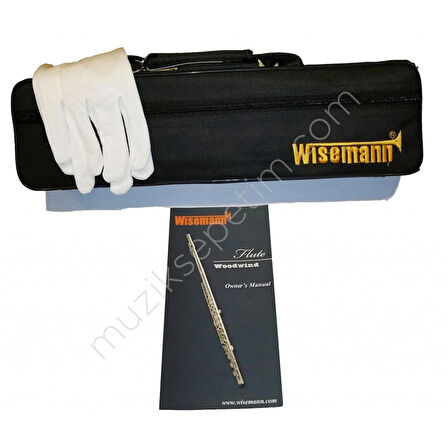 WISEMANN Dfl-150 Gümüş Yan Flüt Üst Kalite