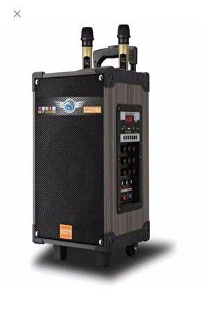 Hoparlör Çift Mikrofon, Bluetooth, USB, Sd Kart Kumandalı 100Watt Karaoke Sistemi Tekerlekli Amfi