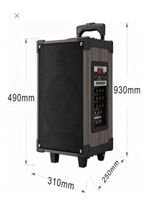 Hoparlör Çift Mikrofon, Bluetooth, USB, Sd Kart Kumandalı 100Watt Karaoke Sistemi Tekerlekli Amfi
