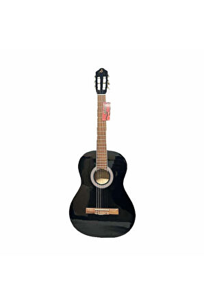 4/4 Gül Klavyeli Gitar