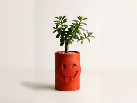 3D Baskı Emoji Planter - Göz Kırpan Yüzlü Sukulent Saksısı-Turuncu