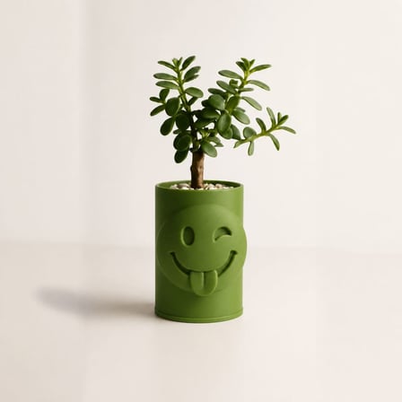 3D Baskı Emoji Planter - Göz Kırpan Yüzlü Sukulent Saksısı-Yeşil
