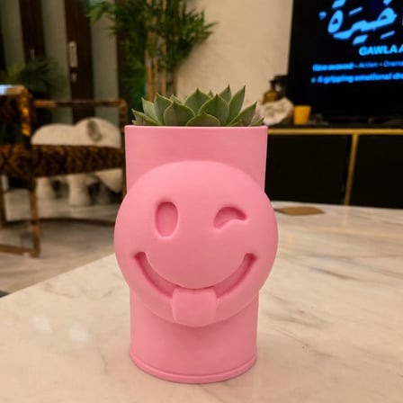 3D Baskı Emoji Planter - Göz Kırpan Yüzlü Sukulent Saksısı-Pembe