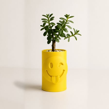 3D Baskı Emoji Planter - Göz Kırpan Yüzlü Sukulent Saksısı-Sarı