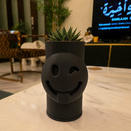 3D Baskı Emoji Planter - Göz Kırpan Yüzlü Sukulent Saksısı-Siyah