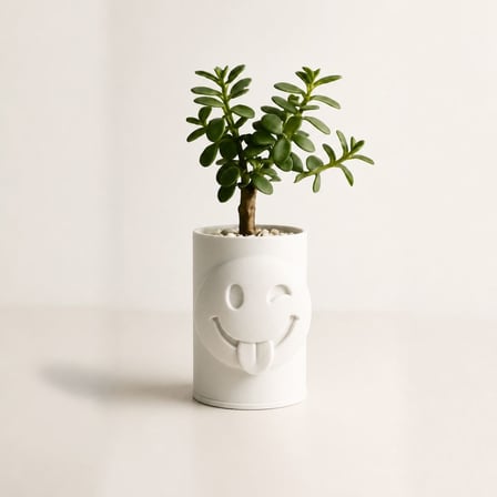 3D Baskı Emoji Planter - Göz Kırpan Yüzlü Sukulent Saksısı-Beyaz