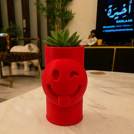 3D Baskı Emoji Planter - Göz Kırpan Yüzlü Sukulent Saksısı-Kırmızı
