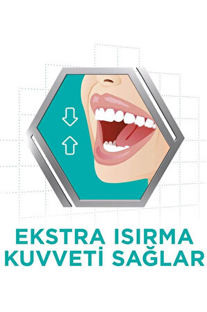 Diş Protezi Yapıştırıcı Krem Naneli 40 Gr