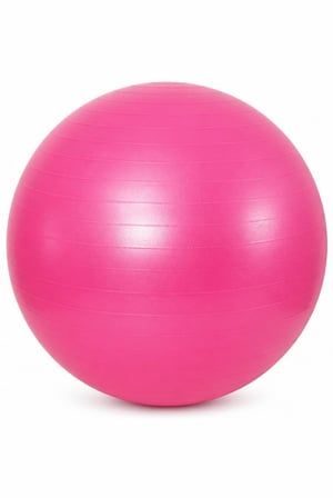 Busstier Denge Yörüngesi Eagle Claw ve 65 cm Pilates Topu Seti