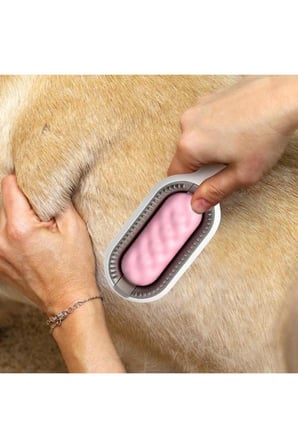 Busstier Uğur Güncesi – Hareketli Uğur Böceği Kedi Oyuncağı ve Tarak, Kum Küreği Seti