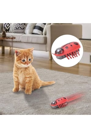 Busstier Uğur Esintisi – Hareketli Uğur Böceği Kedi Oyuncağı ve Tüy Temizleyici, Tarak Seti