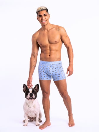 French Bulldog Köpek Desenli Erkek Boxer Pamuklu Likralı Parlak Lastikli Kutulu Açık Mavi