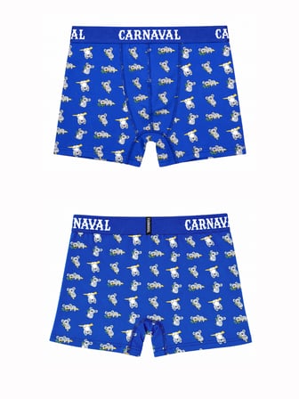 Koala Desenli Erkek Boxer Pamuklu Likralı Parlak Lastikli Kutulu Saks Mavi