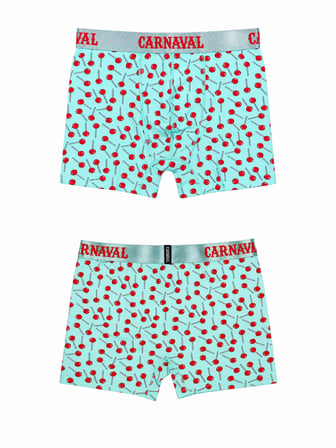 Lolipop Desenli Erkek Boxer Pamuklu Likralı Parlak Lastikli Kutulu Mint Yeşili
