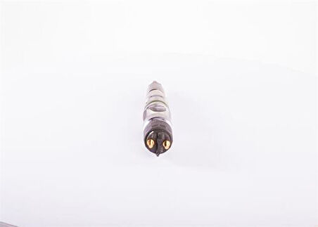 Bosch 0445120219 Enjektör Kütüğü MAN Tgs D2676 Common Rail Motor 51101006127