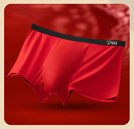 Eces Design MODAL yüksek hava geçirgenliği  Spor Antibakteriyel Kasık Izsiz Erkek Boxer 2 Parça 1004