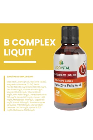 Tüy Dökülmeai Azaltıcı ve Deri Sağlığı Destekleyici Kediler için Biotin Çinko Damla 50 ml 2 Adet