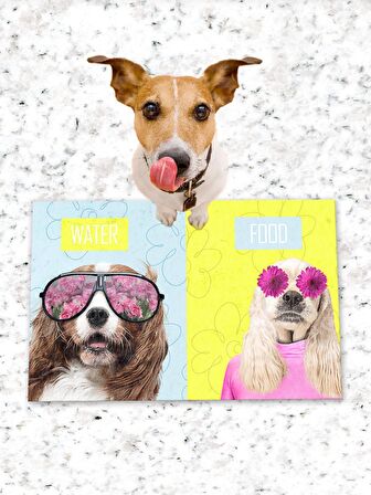 Köpek Kedi Mama ve Eğitim Altlığı Kaymaz Tabanlı