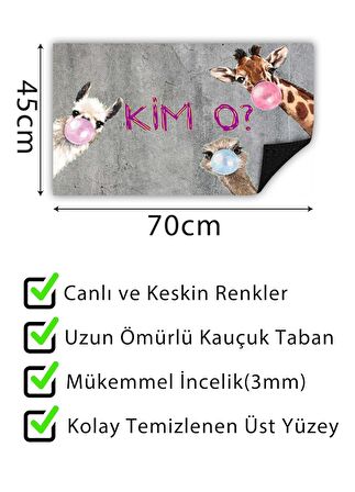 Kim O Kapı Önü Paspası Dekoratif Kapı Paspası Dış Mekan Paspas Ev Içi Paspası 45x70cm