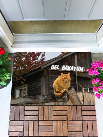 Gel Bakayım  Kapı Önü Paspası Dekoratif Kapı Paspası Dış Mekan Paspas Ev Içi Paspası 45x70cm