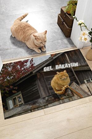 Gel Bakayım  Kapı Önü Paspası Dekoratif Kapı Paspası Dış Mekan Paspas Ev Içi Paspası 45x70cm