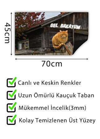 Gel Bakayım  Kapı Önü Paspası Dekoratif Kapı Paspası Dış Mekan Paspas Ev Içi Paspası 45x70cm