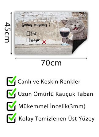 Sarhoş Musun Kapı Önü Paspası Dekoratif Kapı Paspası Dış Mekan Paspas Ev Içi Paspası 45x70cm